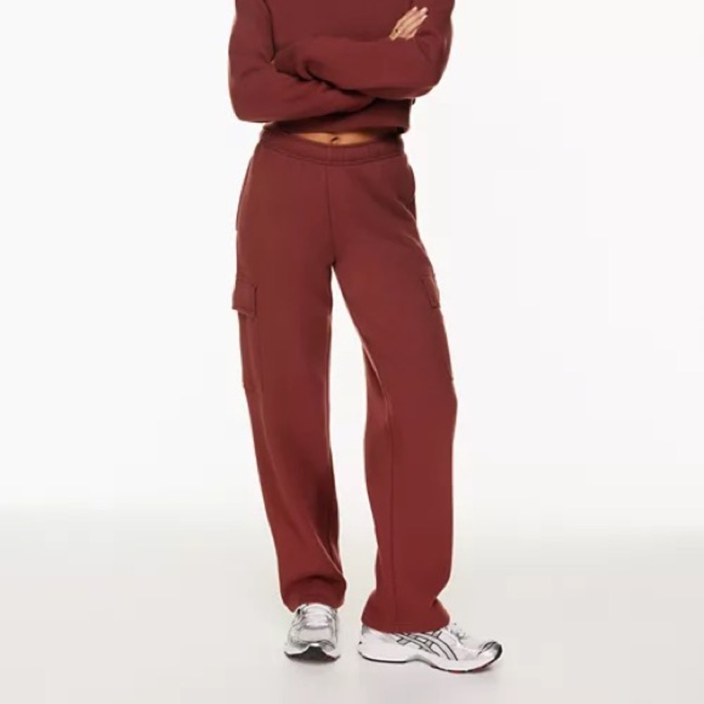 Aritzia Mega Fleece Cargo Sweatpant